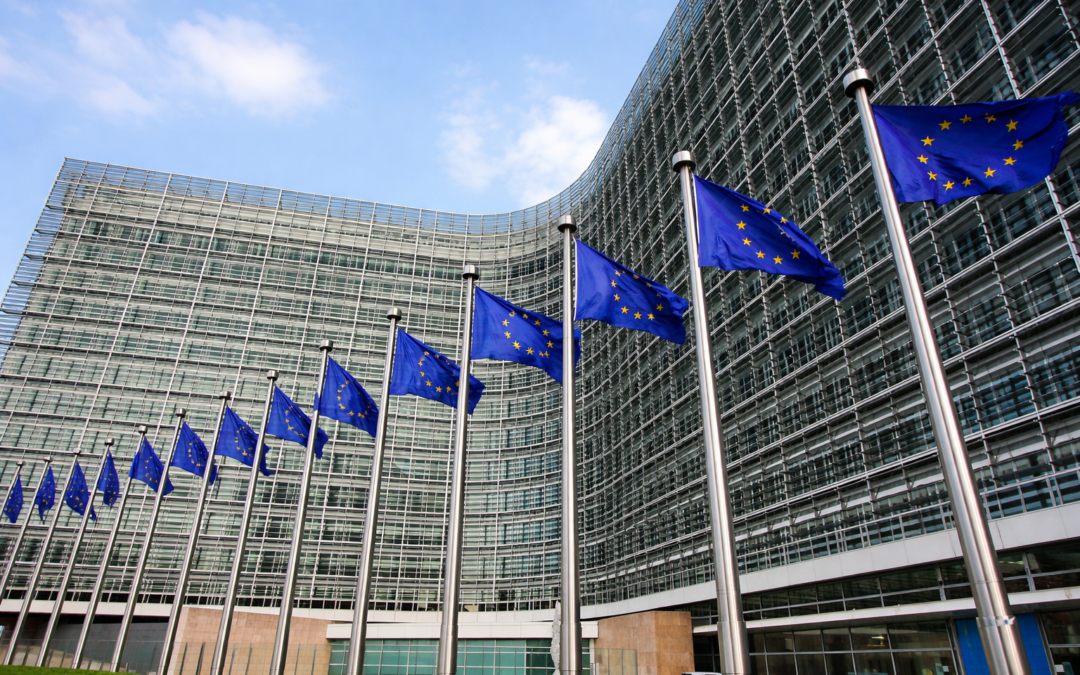 Celebrem la denúncia de la Comissió Europea a Espanya per no aplicar el règim d’IVA franquiciat als autònoms